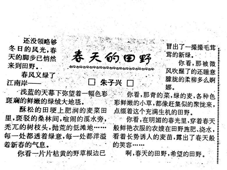春天的田野.JPG
