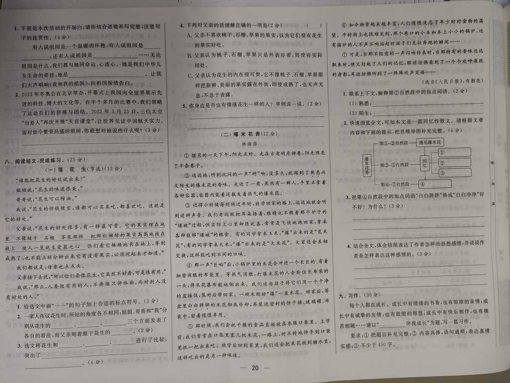 z2.jpg
