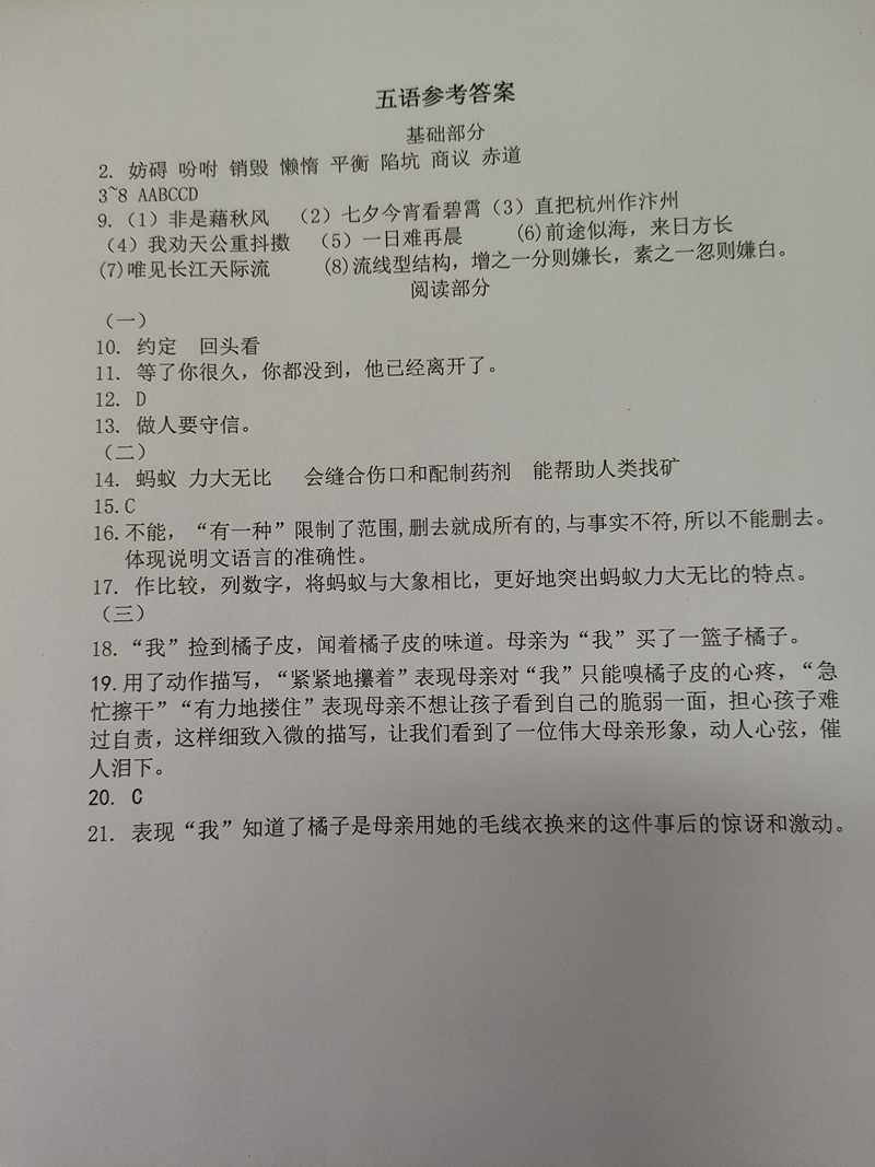 q5.jpg