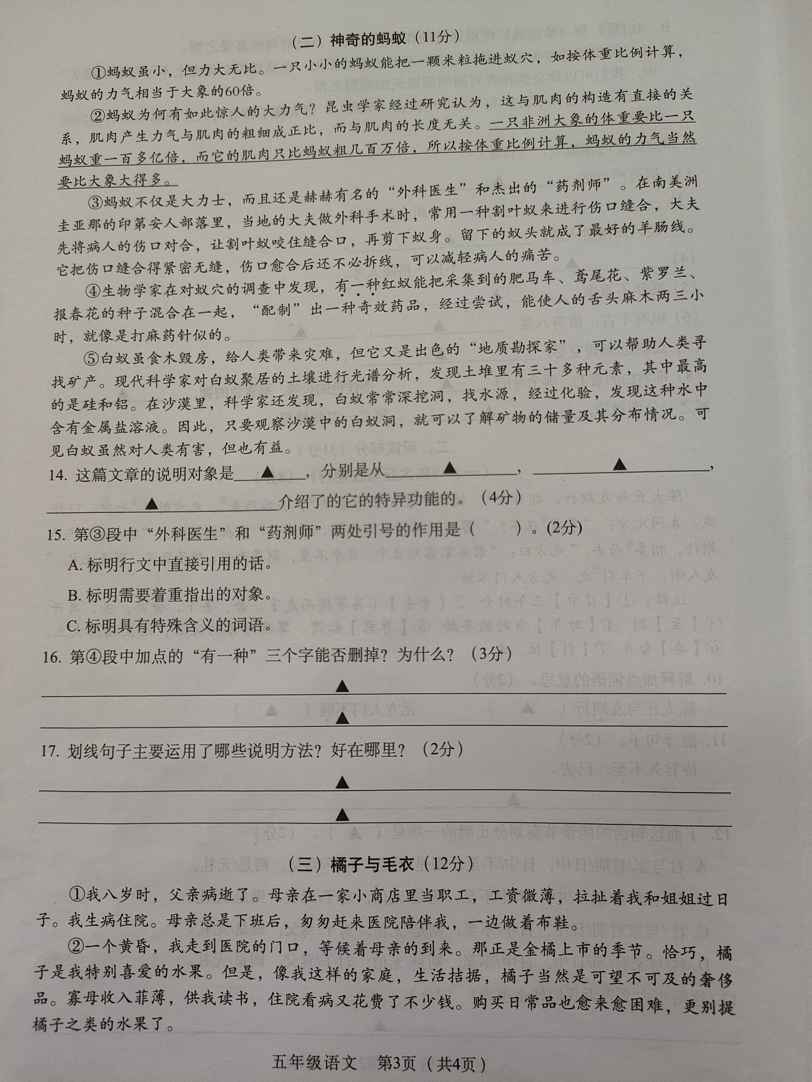 q2.jpg