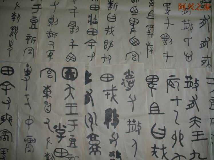 20108211627380.jpg