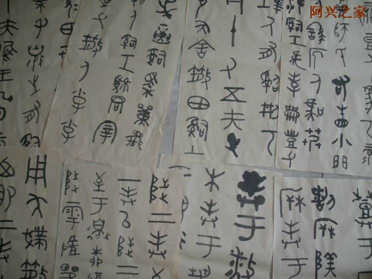 20108211628200.jpg