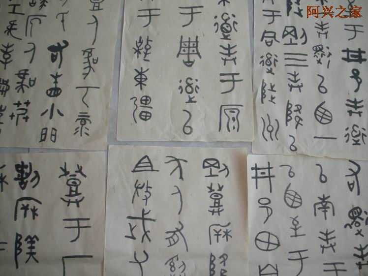 20108211629460.jpg