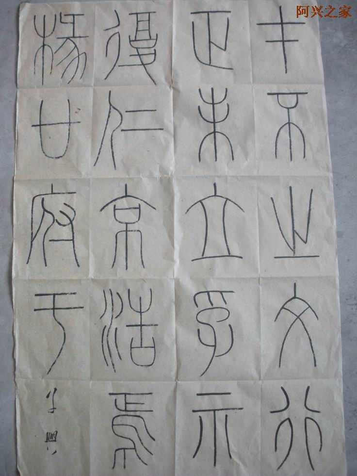 2010725228550.jpg