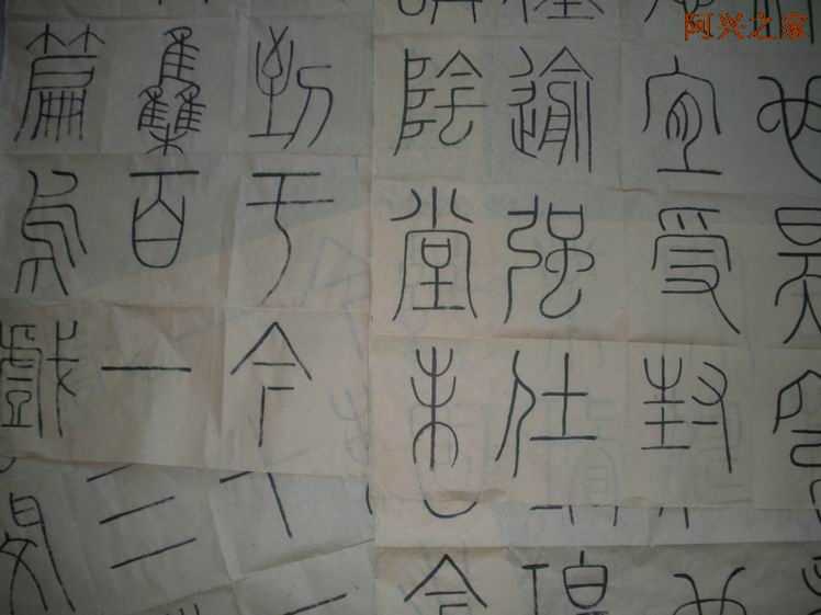 2010725229440.jpg