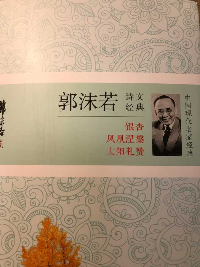 陆诗琦1.png