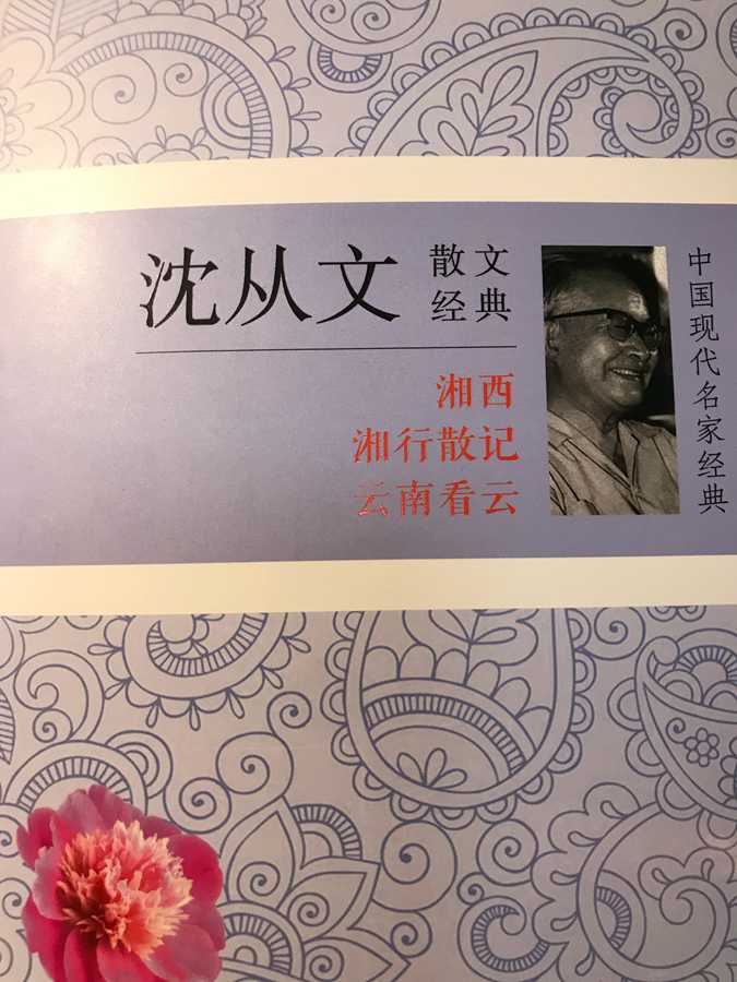 陈晨1.png
