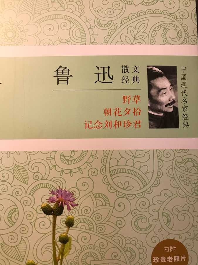 王毅泽1.png