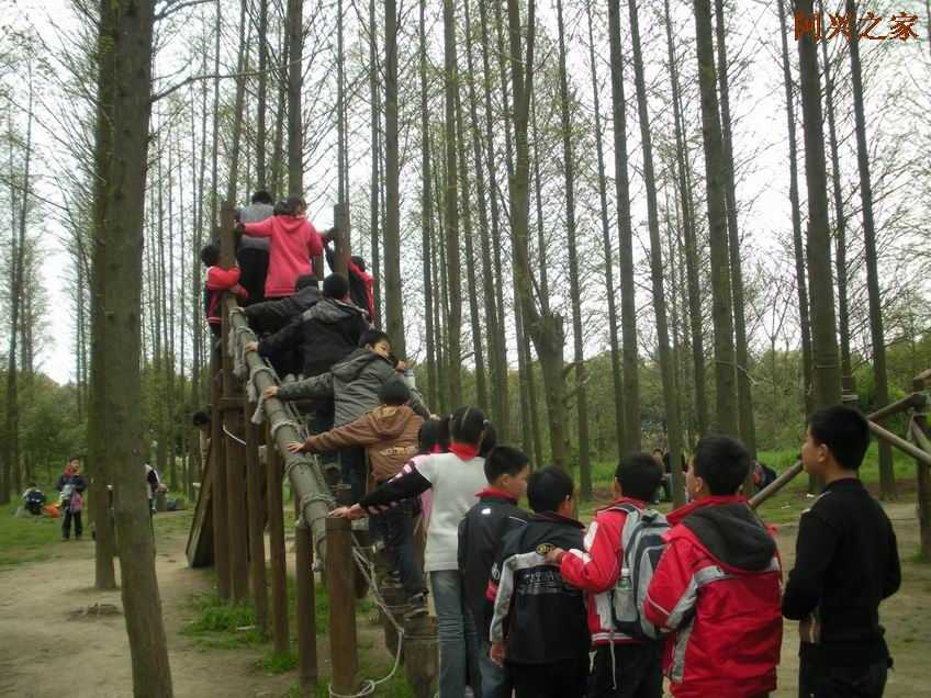 27.jpg