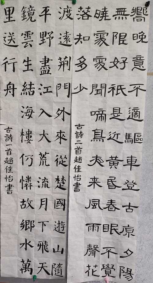 IMG20230515155530 (2).jpg