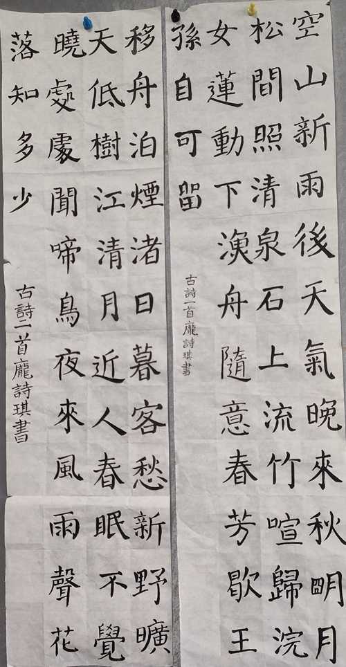 IMG20230515160100 (2).jpg