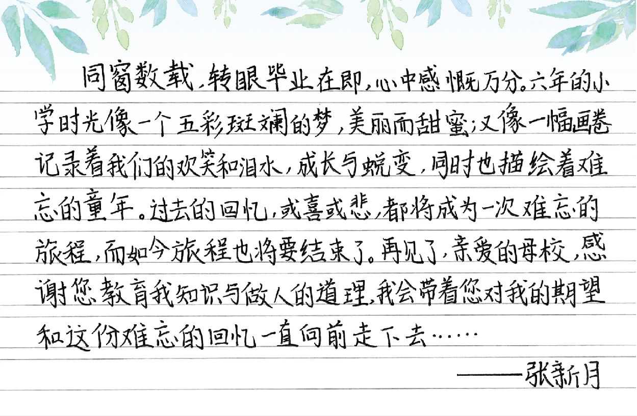 张新月.png